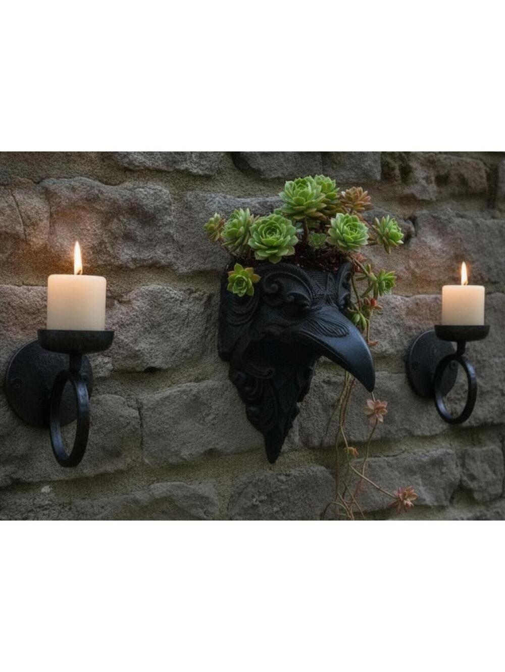 Medieval Crow Wall Art - Gothic Raven Hanging Planter - Indoor Succulent Pot